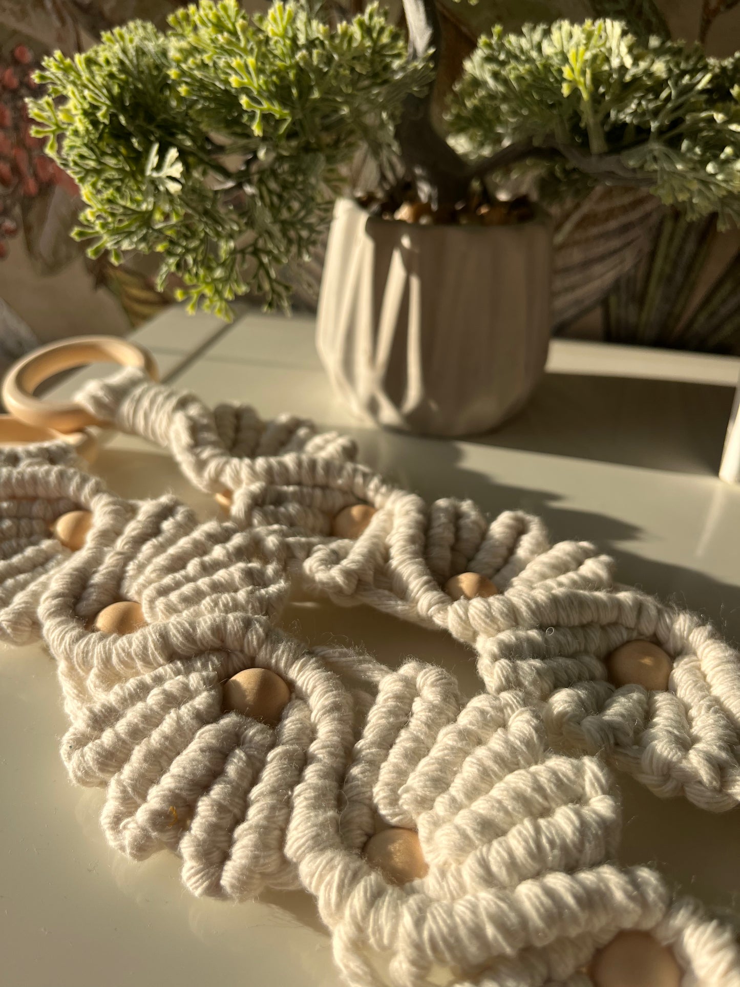 Šluoščių laikiklis "Žiedė"